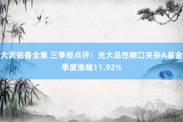 大沢佑香全集 三季报点评：光大品性糊口夹杂A基金季度涨幅11.92%