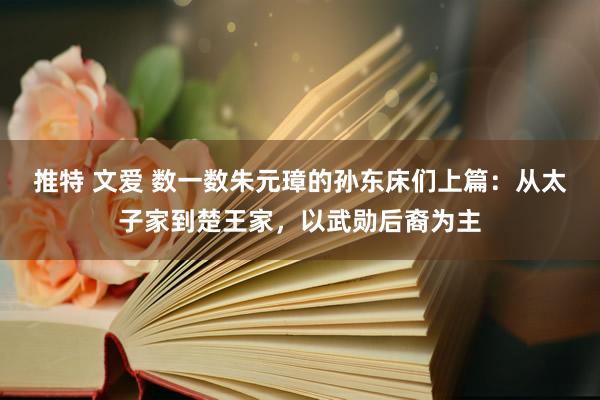 推特 文爱 数一数朱元璋的孙东床们上篇：从太子家到楚王家，以武勋后裔为主