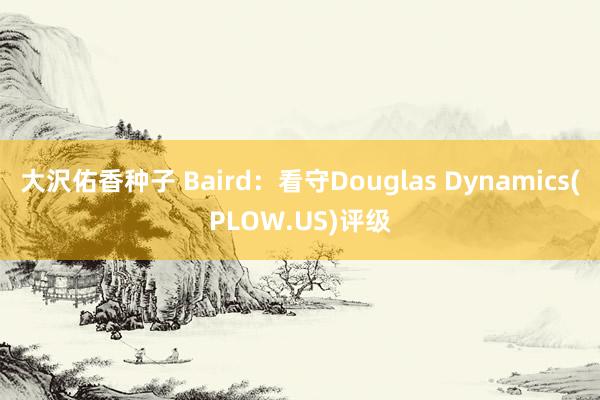 大沢佑香种子 Baird：看守Douglas Dynamics(PLOW.US)评级