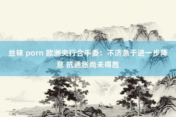 丝袜 porn 欧洲央行合手委：不济急于进一步降息 抗通胀尚未得胜