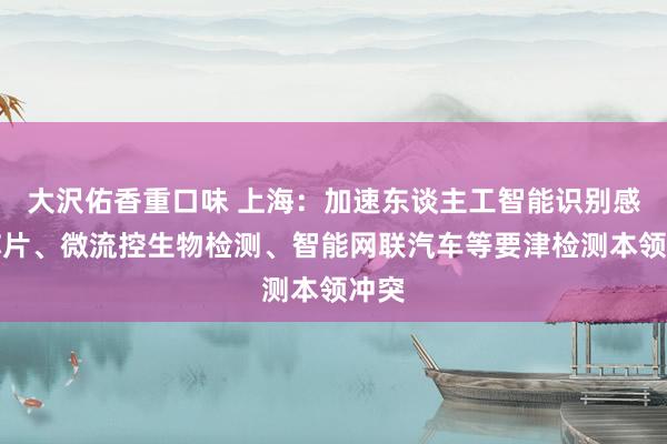 大沢佑香重口味 上海：加速东谈主工智能识别感知芯片、微流控生物检测、智能网联汽车等要津检测本领冲突