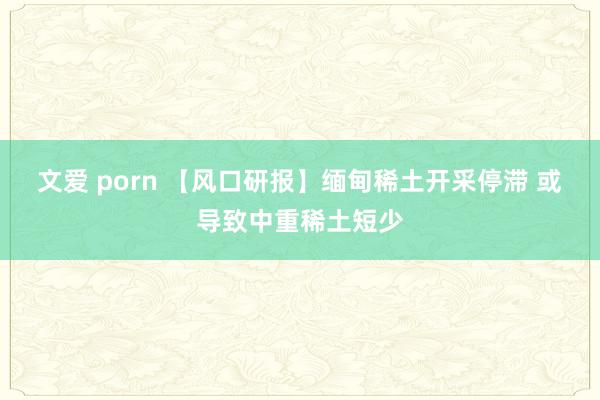 文爱 porn 【风口研报】缅甸稀土开采停滞 或导致中重稀土短少