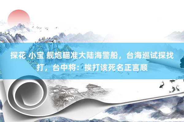 探花 小宝 舰炮瞄准大陆海警船，台海巡试探找打，台中将：挨打该死名正言顺