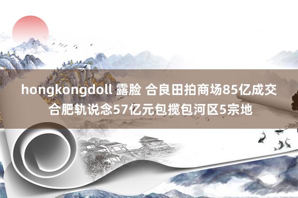 hongkongdoll 露脸 合良田拍商场85亿成交 合肥轨说念57亿元包揽包河区5宗地