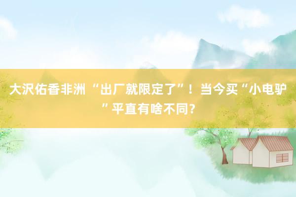 大沢佑香非洲 “出厂就限定了”！当今买“小电驴”平直有啥不同？