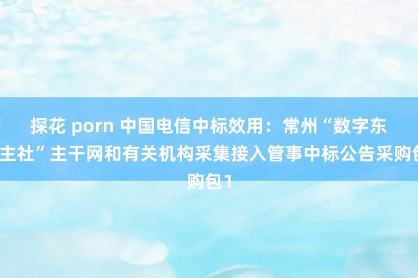 探花 porn 中国电信中标效用：常州“数字东谈主社”主干网和有关机构采集接入管事中标公告采购包1