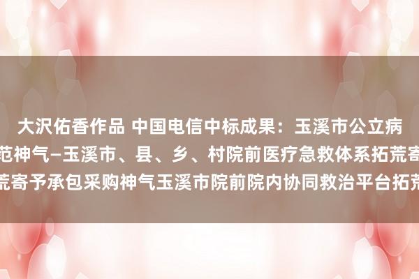 大沢佑香作品 中国电信中标成果：玉溪市公立病院改变与高质料发展示范神气—玉溪市、县、乡、村院前医疗急救体系拓荒寄予承包采购神气玉溪市院前院内协同救治平台拓荒配套劳动采购中标公告