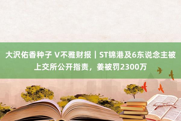 大沢佑香种子 V不雅财报｜ST锦港及6东说念主被上交所公开指责，姜被罚2300万