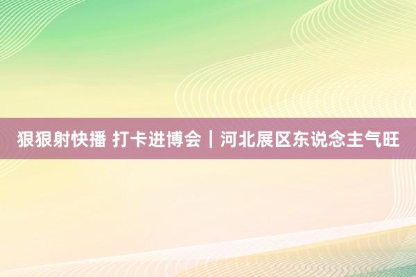 狠狠射快播 打卡进博会｜河北展区东说念主气旺