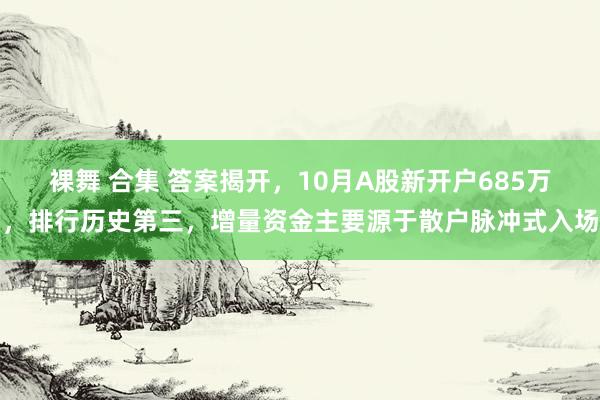 裸舞 合集 答案揭开，10月A股新开户685万，排行历史第三，增量资金主要源于散户脉冲式入场