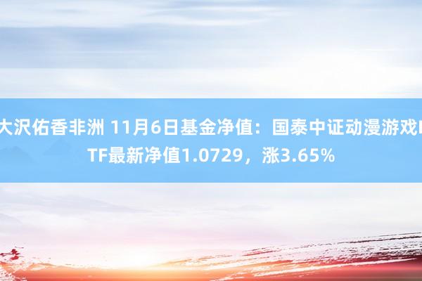 大沢佑香非洲 11月6日基金净值：国泰中证动漫游戏ETF最新净值1.0729，涨3.65%