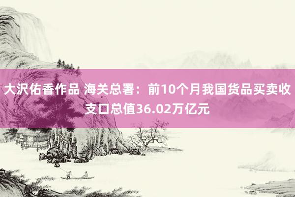 大沢佑香作品 海关总署：前10个月我国货品买卖收支口总值36.02万亿元