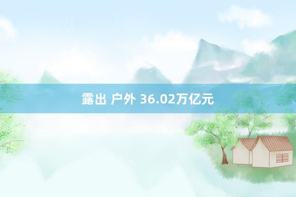 露出 户外 36.02万亿元