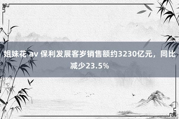 姐妹花 av 保利发展客岁销售额约3230亿元，同比减少23.5%