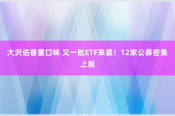 大沢佑香重口味 又一批ETF来袭！12家公募密集上报