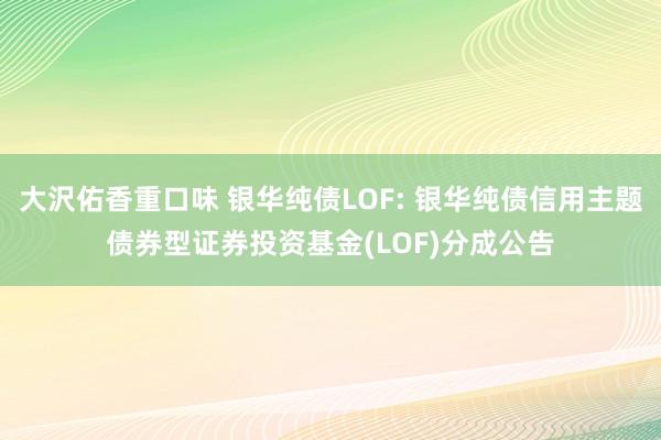 大沢佑香重口味 银华纯债LOF: 银华纯债信用主题债券型证券投资基金(LOF)分成公告