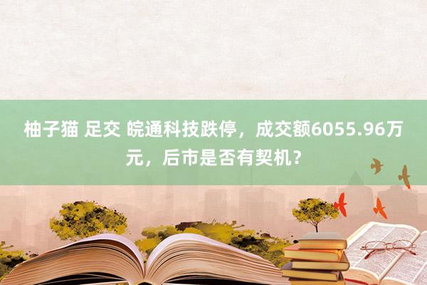 柚子猫 足交 皖通科技跌停，成交额6055.96万元，后市是否有契机？