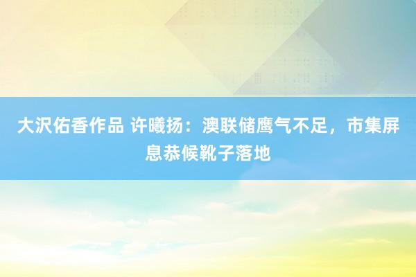 大沢佑香作品 许曦扬：澳联储鹰气不足，市集屏息恭候靴子落地